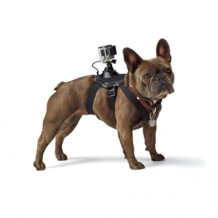 Fetch Dog Harness - кріплення GoPro для собак